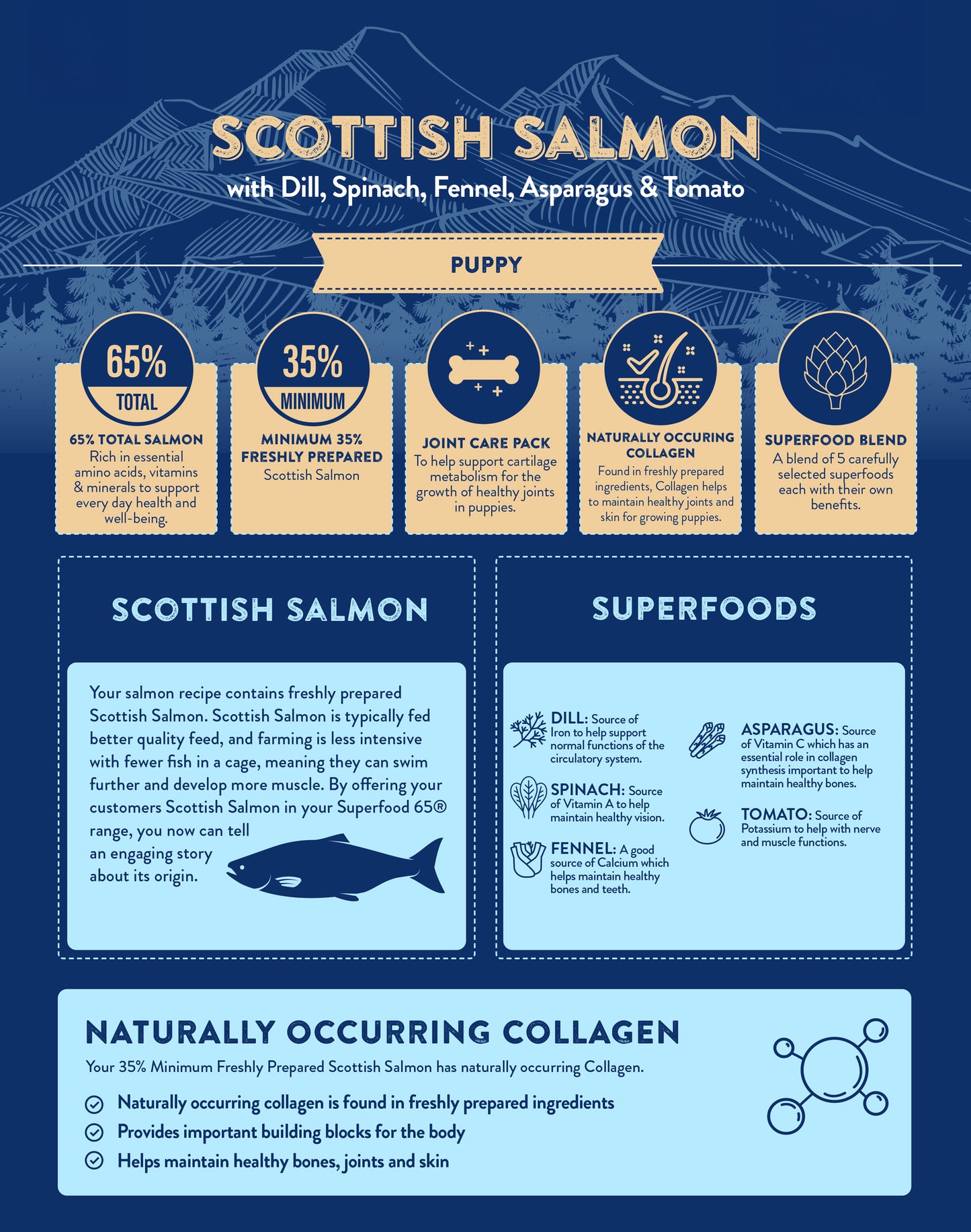 Superfood65 SF65 Scottish Salmon for Puppies 12kg